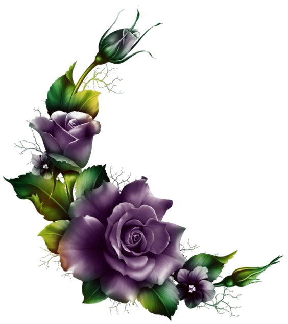 purple roses cutout